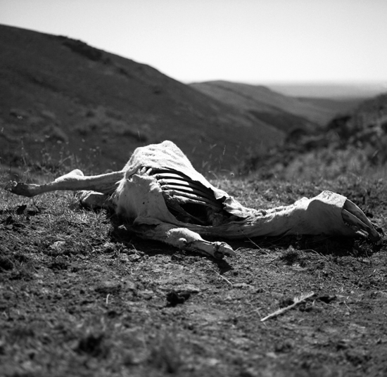 © Fotografía: Memoria Química.