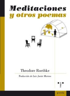 Meditaciones-otros-poemas