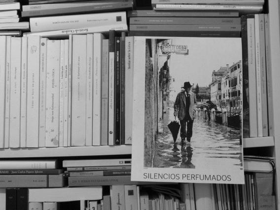 Ilustración de Avelino Fierro.