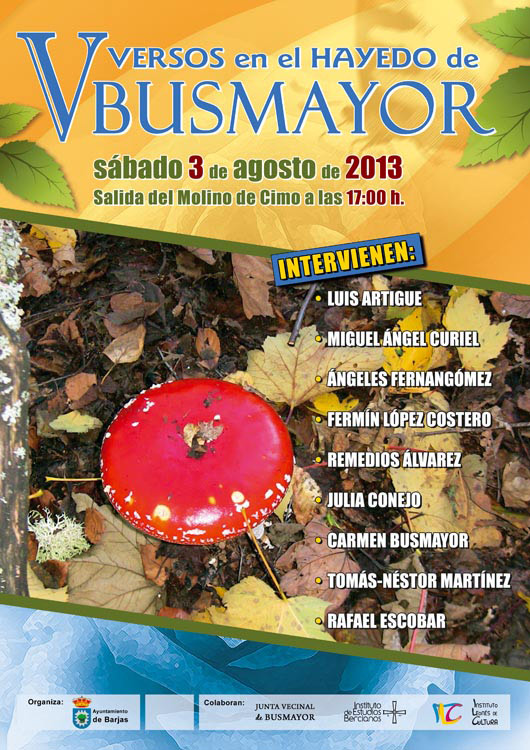 5-Versos-Hayedo-Busmayor-2013-Cartel