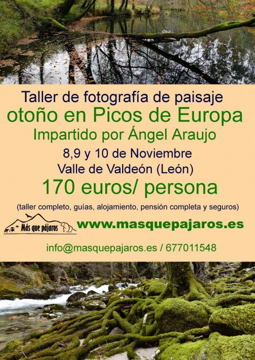 cartel ángel araújo _foto