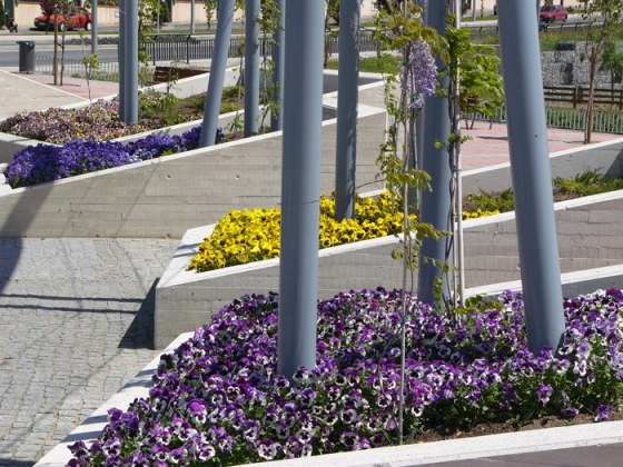 Jardineras con flor de temporada y soportes de enredadera. © Ilustración de José Carlos Sanz Belloso.