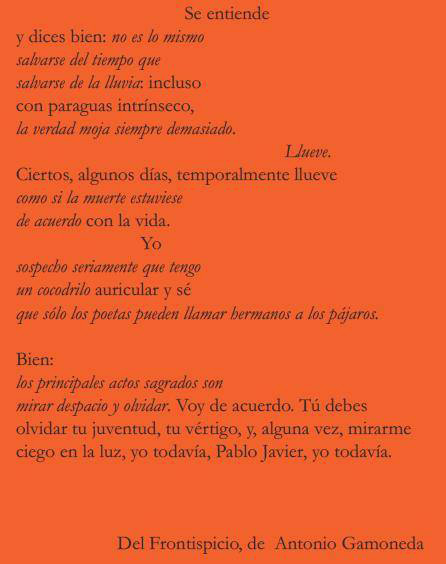 Fragmento del "Frontispicio" de Gamoneda.