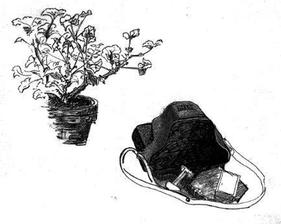 © Ilustración de Avelino Fierro.