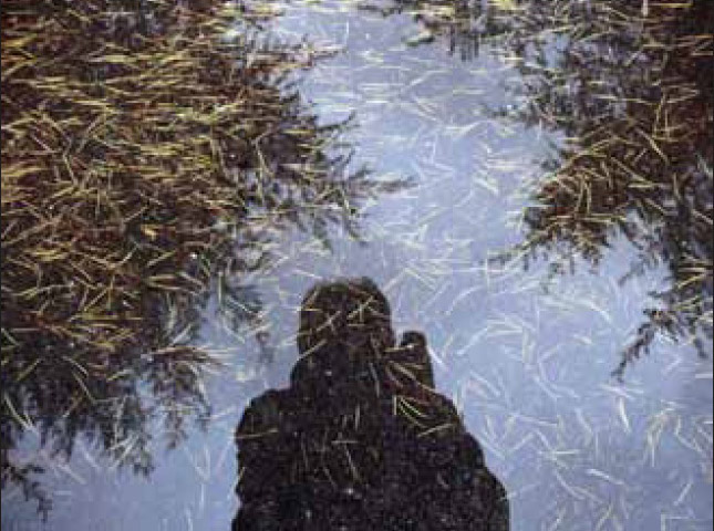 © Agustín Berrueta.