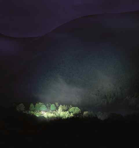 "Twiligut 14". Carlos Irijalba 