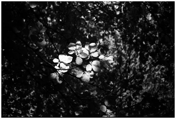 © Fotografía: Memoria Química.