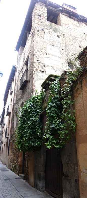 Plantas colgantes sobre muro de palacio medieval, con patio ajardinado interior…/ Valle Escuderos. Palacio de la familia Cannata. Segovia. © Fotografía: José Carlos Sanz.