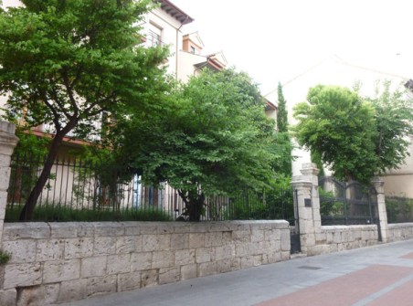 Jardines en ante patios de casas. / Calle Núñez de Arce. Fundación Santiago y Segundos Montes. Valladolid. © Fotografía: José Carlos Sanz.