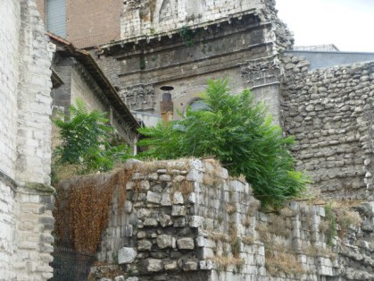 Jardín en ruinas históricas. / Catedral de Valladolid. © Fotografía: José Carlos Sanz.