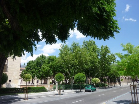 Jardín en edificios universitarios. / Calle Cardenal Mendoza. Colegio de Santa Cruz. Valladolid. © Fotografía: José Carlos Sanz.