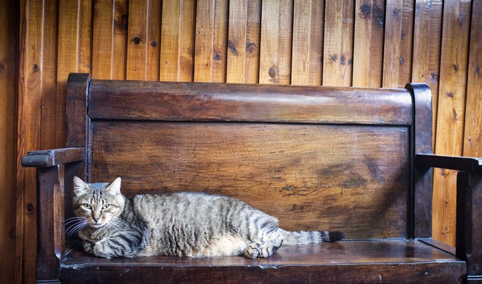 © Fotografía: José Ramón Vega.