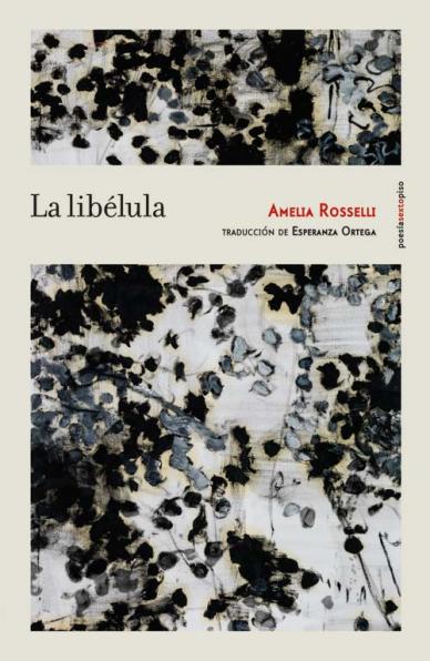 Portada del libro.