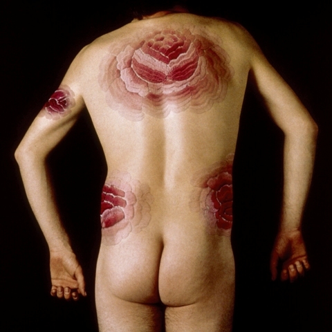 Días de Sida. Javier Codesal