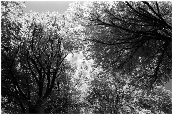 © Fotografía: Memoria Química.