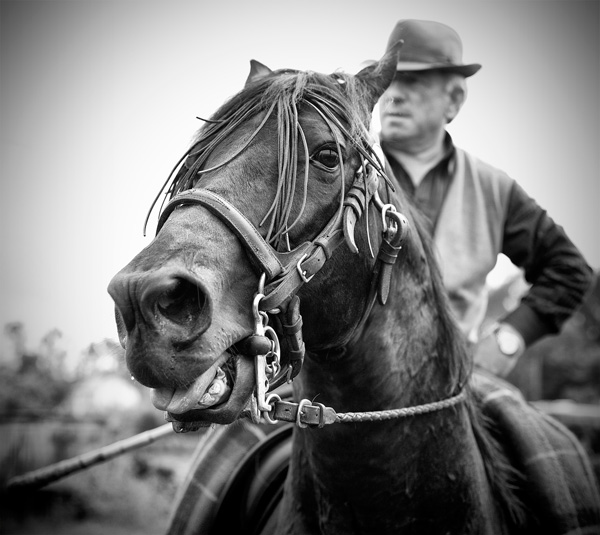 © Fotografía: José Ramón Vega.