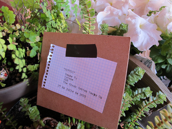 PATIOS. 27 de julio.