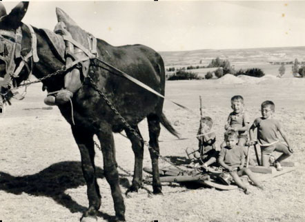 Qué tiempos de olor a mies y de veranos muy laboriosos.