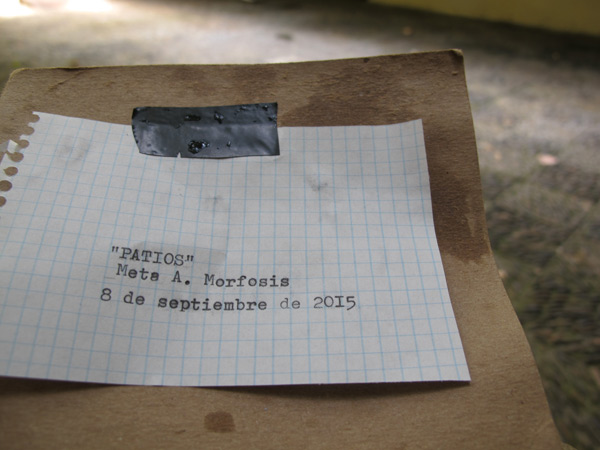 PATIOS (7). 8 de septiembre.