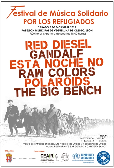 Cartel Festival Solidario.