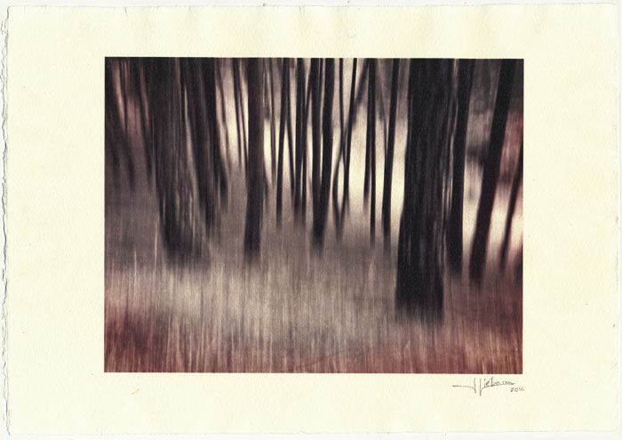 Obra de Julia G. Liébana.