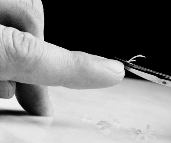 "TOC. Una colección propia"/ Concha Prada. "Sin título". De la serie "Basuras domésticas", 1995-1996. Colección MUSAC. Copyright Concha Prada. Cortesía MUSAC.