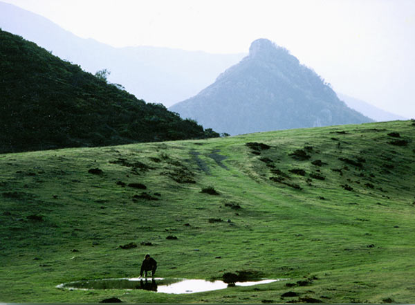 © Fotografía: Agustín Berrueta.