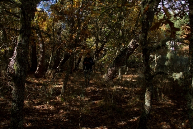 Amaia Urra en Castro de Cepeda.