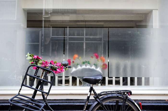 © Fotografía: José Ramón Vega.