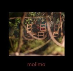 Portada del disco "Molimo".