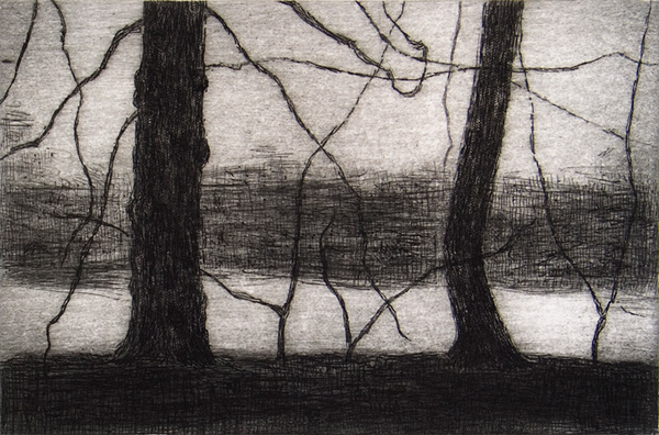 "Kungs Parken 9" (2012). Aguafuerte y punta seca. © Miguel Galano.