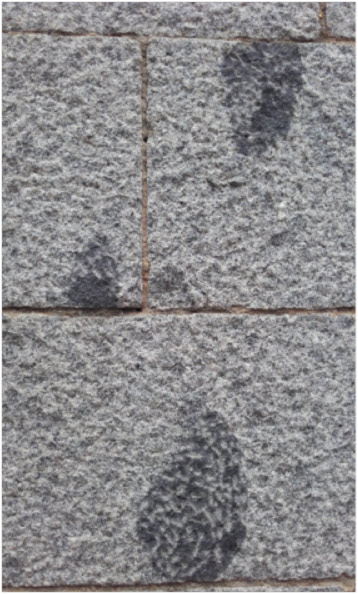 Detalle de enclaves oscuros (dioritas) en los granitoides (monzogranitos) del zócalo de la galería porticada sur (atrio) de la iglesia de San Martín.