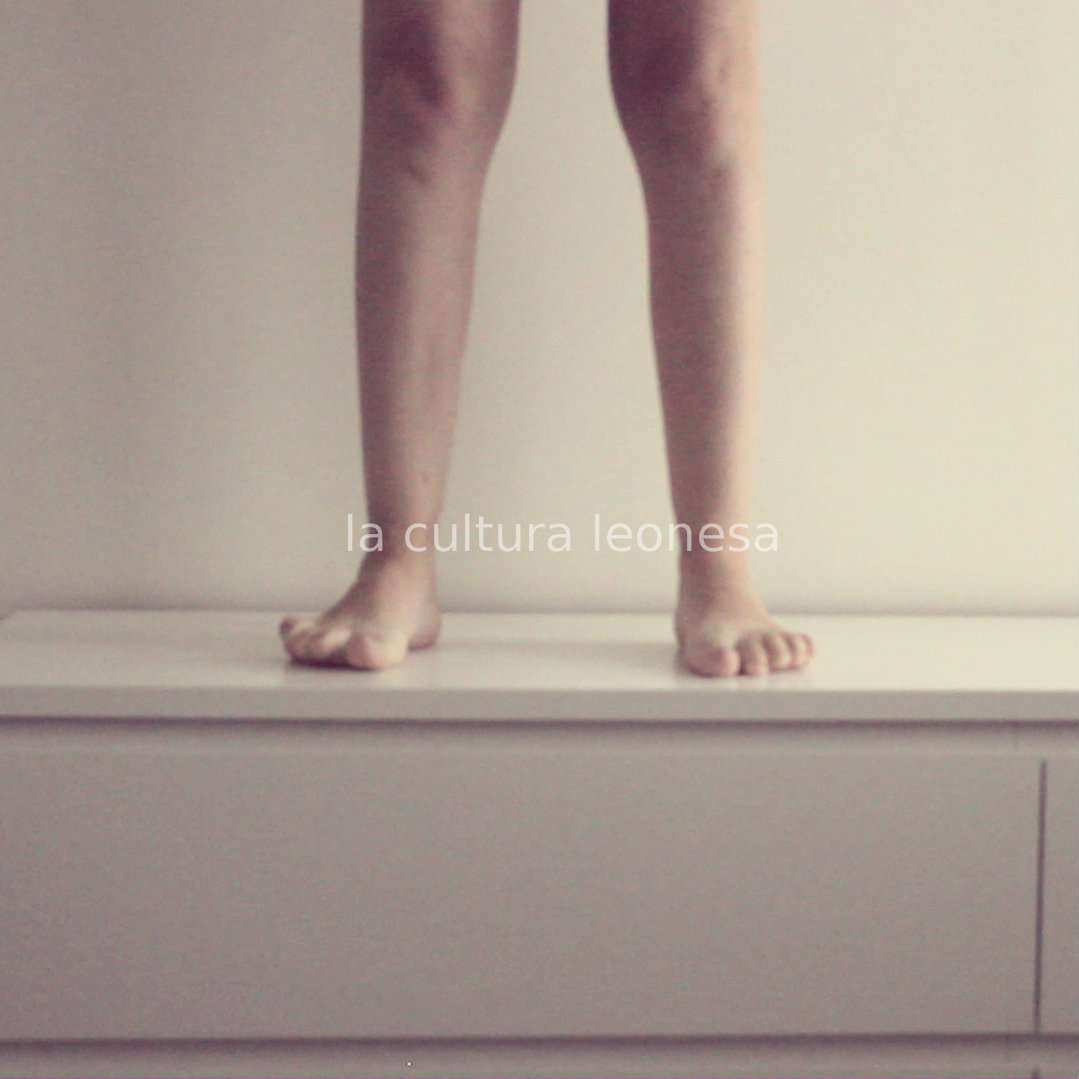 #Incómodasíntesisdeunapostura / Tema 4: "La cultura leonesa".