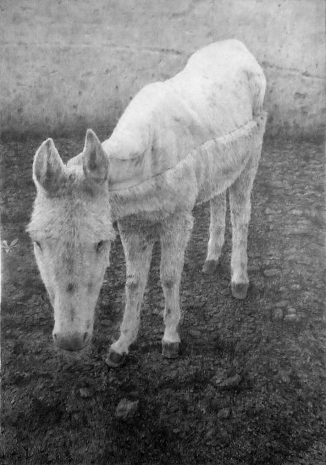 Emiliano Vozmediano. "El descanso". Grafito sobre papel y tabla.