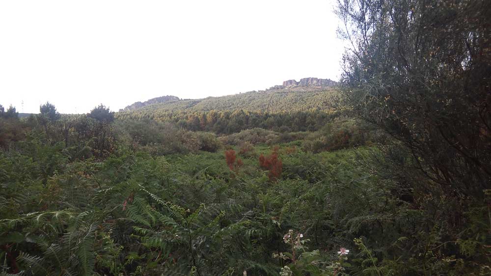 -Paisaje de la comarca de Aliste con la Sierra de la Culebra, al fondo. © Fotografía: Gabriel Vaquero.