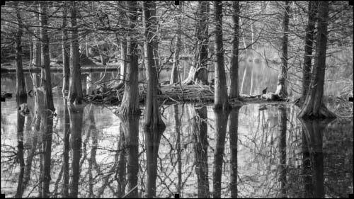La humildad de la naturaleza… esa que nunca te deja abandonado…