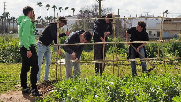 Alumnos de 1º de Formación Profesional Básica, de Jardinería, preparan la estructura de cañas en el huerto, para enredar las matas de tomates. © Fotografía: Ana Escalera.