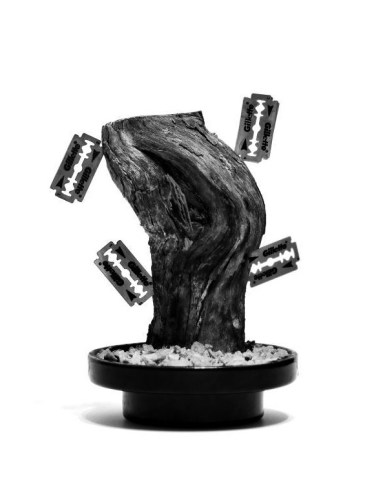 © Fotografía: Román Montesinos López.