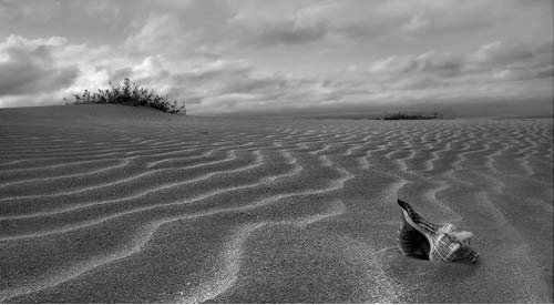 La calma del silencio…