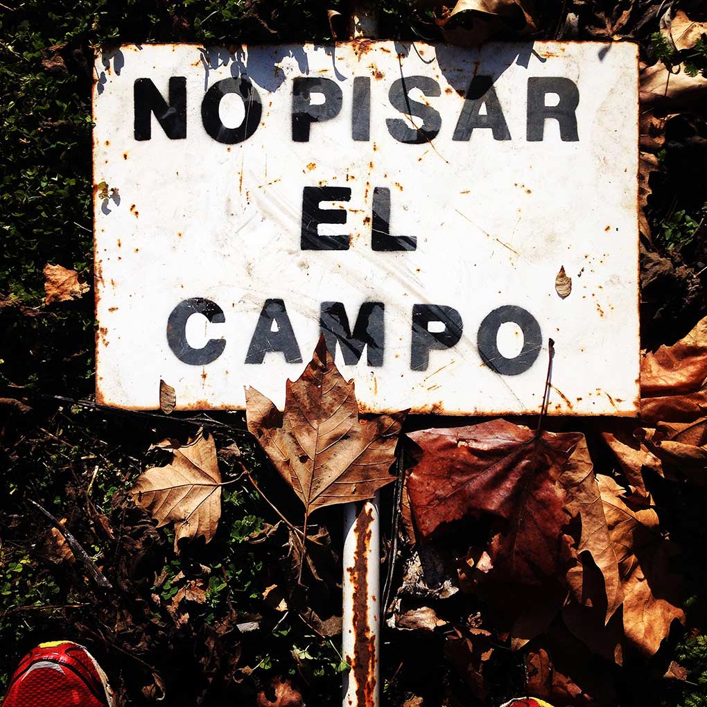 Fotografía: José Ramón Vega.