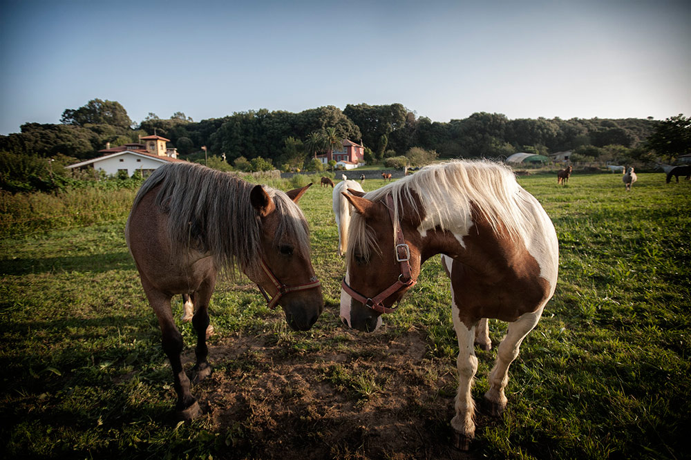 © Fotografía: José Ramón Vega.