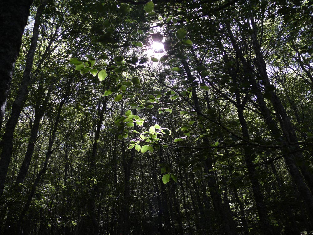 © Fotografía: Agustín Berrueta.