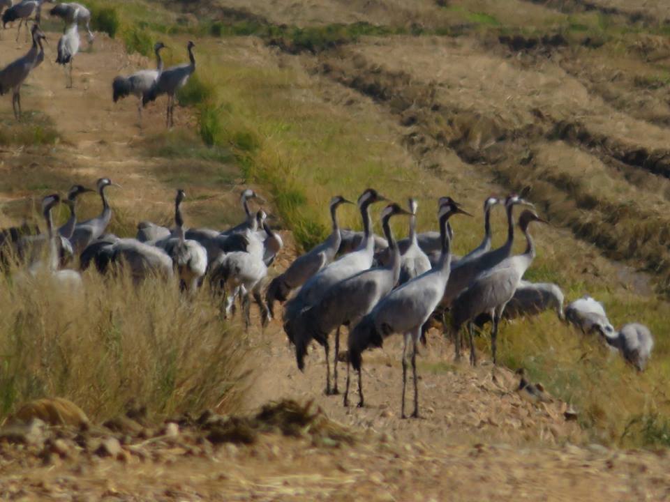 Fotografía: Felipe Zapico Alonso.