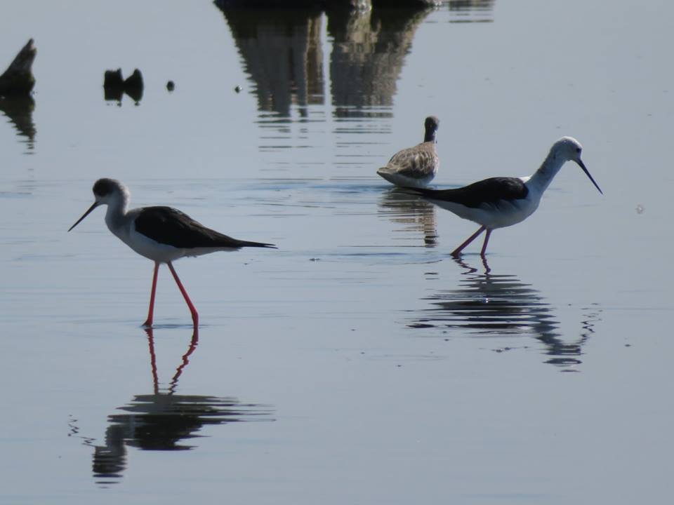 Fotografía: Felipe Zapico Alonso.