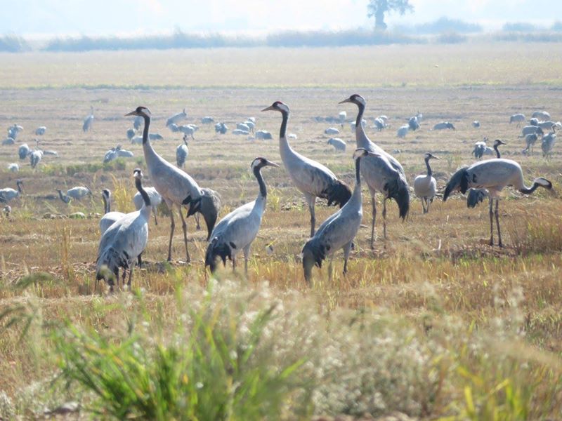 Fotografía: Felipe Zapico Alonso.