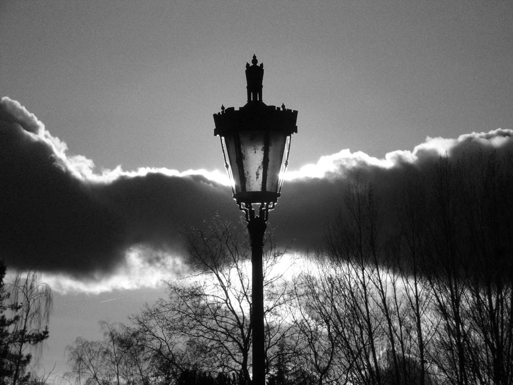 © Fotografía: Agustín Berrueta.