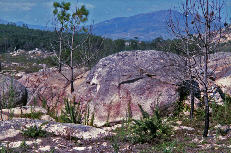 En la playa de Boca do Río (Carnota, A Coruña). Foto: Eloísa Otero.