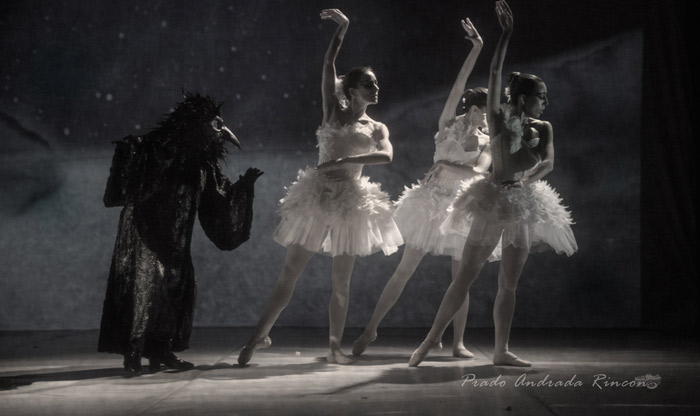 "El lago de los cisnes. La leyenda de la princesa cisne", de Morfeo Teatro-Karlik Danza-Gloria Muñoz Artes Escénicas.