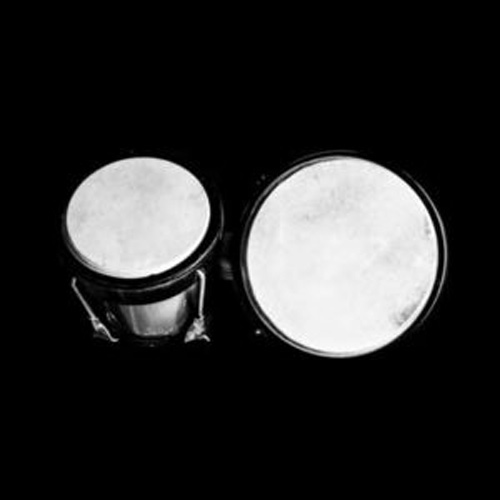 TAM TAM PRESS, en la web de TESLA.