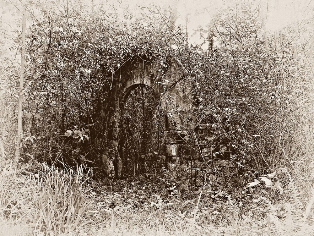 Entrada incierta a un jardín. © Ilustración: José Carlos Sanz Belloso.